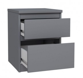 2.03.03.050.4 КАСТОР тумба 2 ящика RU серая в Когалыме - kogalym.ok-mebel.com | фото 2