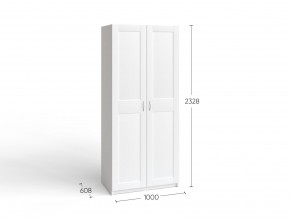 2.06.01.050.4 МАКС шкаф 2 двери 100х61х233 серый RU в Когалыме - kogalym.ok-mebel.com | фото 4