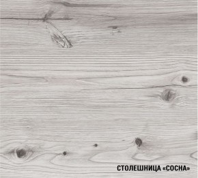 АСАЯ Кухонный гарнитур Экстра 2 (3000 мм) ПМ в Когалыме - kogalym.ok-mebel.com | фото 8