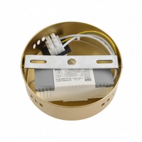Бра Lumion TRENDY 8259/15WCL в Когалыме - kogalym.ok-mebel.com | фото 7