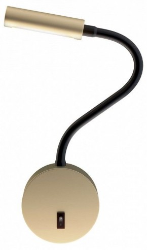 Бра Maytoni Stem C035WL-L3MG3K в Когалыме - kogalym.ok-mebel.com | фото