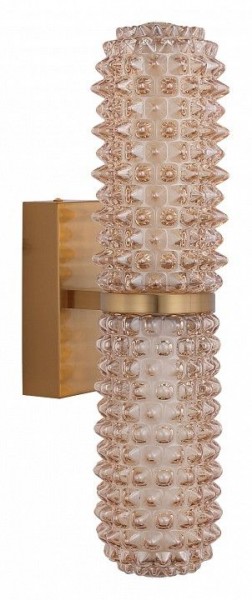 Бра ST-Luce SAGUARO SL6144.301.01 в Когалыме - kogalym.ok-mebel.com | фото