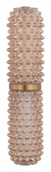 Бра ST-Luce SAGUARO SL6144.301.01 в Когалыме - kogalym.ok-mebel.com | фото 4
