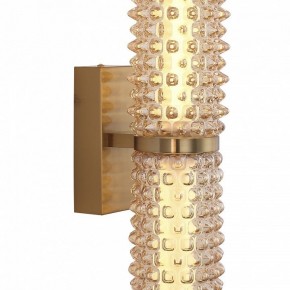 Бра ST-Luce SAGUARO SL6144.301.01 в Когалыме - kogalym.ok-mebel.com | фото 6
