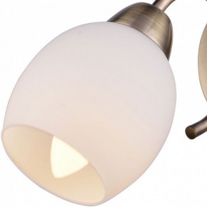 Бра TopLight Merry TL3780B-01AB в Когалыме - kogalym.ok-mebel.com | фото 2