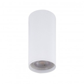 DK2051-WH Накладной светильник, IP 20, 15 Вт, GU10, белый, алюминий в Когалыме - kogalym.ok-mebel.com | фото