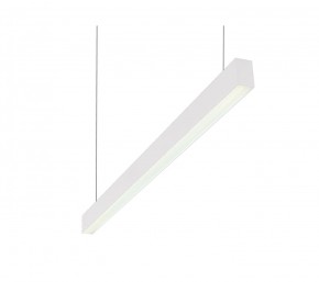 DK9124-WH Линейный светильник 30W 1250mm 4000K, белый в Когалыме - kogalym.ok-mebel.com | фото