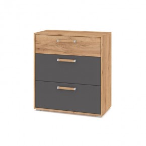 ФЛОРИДА Гостиная (модульная) дуб золотой/графит в Когалыме - kogalym.ok-mebel.com | фото 8