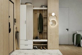 Гарнитур для прихожей Торонто в Когалыме - kogalym.ok-mebel.com | фото 5