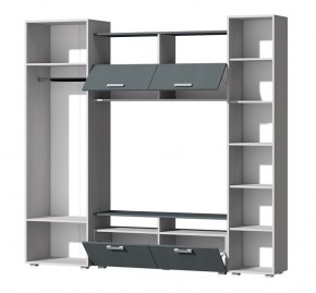 Гостиная Эмми (Анкор светлый/Графит) в Когалыме - kogalym.ok-mebel.com | фото 3