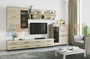 Гостиная Камелия Композиция 6 (Ясень Асахи) в Когалыме - kogalym.ok-mebel.com | фото