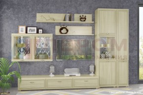 Гостиная Карина Композиция 1 (Ясень Асахи) в Когалыме - kogalym.ok-mebel.com | фото 4