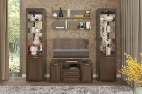 Гостиная Карина Композиция 13 (Акация Молдау) в Когалыме - kogalym.ok-mebel.com | фото