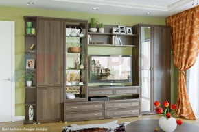 Гостиная Карина Композиция 20 (Акация Молдау) в Когалыме - kogalym.ok-mebel.com | фото