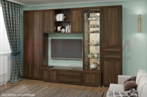 Гостиная Карина Композиция 21 (Акация Молдау) в Когалыме - kogalym.ok-mebel.com | фото