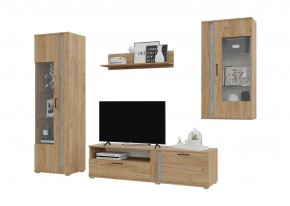 Гостиная Омега (Крафт золотой-Бетон) в Когалыме - kogalym.ok-mebel.com | фото 2