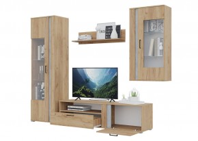 Гостиная Омега (Крафт золотой-Бетон) в Когалыме - kogalym.ok-mebel.com | фото 4