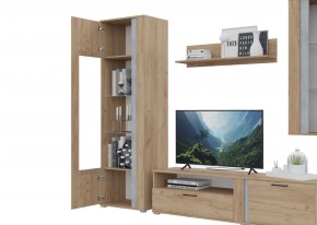 Гостиная Омега (Крафт золотой-Бетон) в Когалыме - kogalym.ok-mebel.com | фото 5