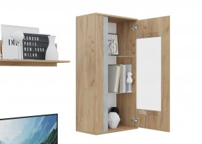 Гостиная Омега (Крафт золотой-Бетон) в Когалыме - kogalym.ok-mebel.com | фото 6