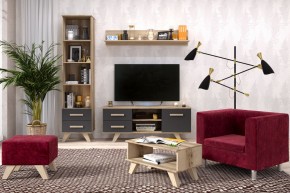 Гостиная Вега Скандинавия (комплект 5) в Когалыме - kogalym.ok-mebel.com | фото 2