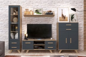 Гостиная Вега Скандинавия (комплект 7) в Когалыме - kogalym.ok-mebel.com | фото 2