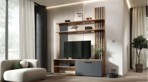 КАРОЛИНА Гостиная (дуб вотан/графит) в Когалыме - kogalym.ok-mebel.com | фото