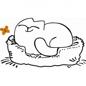 Кровать двухуровневая Кот № 900.1 ПРАВАЯ (туя светлая/белый) в Когалыме - kogalym.ok-mebel.com | фото 2