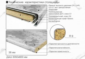 Кухонный фартук со столешницей (А-01) в едином стиле (3050 мм) в Когалыме - kogalym.ok-mebel.com | фото 6