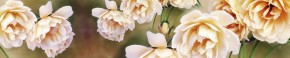 Кухонный фартук Цветы 066 МДФ матовый (3000) Flowers в Когалыме - kogalym.ok-mebel.com | фото 1