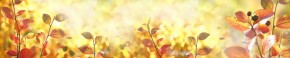 Кухонный фартук Цветы 318 МДФ матовый (3000) Flowers в Когалыме - kogalym.ok-mebel.com | фото 1