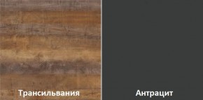 Кухонный гарнитур угловой Трансильвания 2400x1600 мм (Стол. 38 мм) в Когалыме - kogalym.ok-mebel.com | фото 3