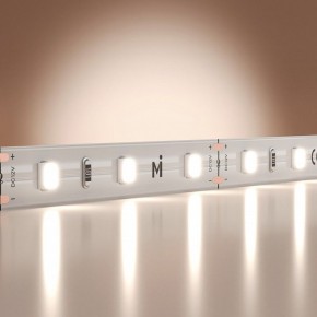 Лента светодиодная Maytoni Base 201164 в Когалыме - kogalym.ok-mebel.com | фото