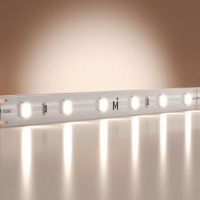 Лента светодиодная Maytoni Base 201167 в Когалыме - kogalym.ok-mebel.com | фото