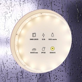 Лента светодиодная Maytoni Led strip 10105 в Когалыме - kogalym.ok-mebel.com | фото 2