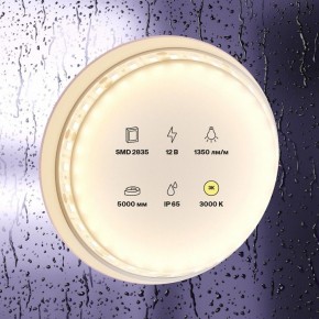 Лента светодиодная Maytoni Led strip 10117 в Когалыме - kogalym.ok-mebel.com | фото 2