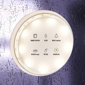Лента светодиодная Maytoni Led strip 10124 в Когалыме - kogalym.ok-mebel.com | фото 3