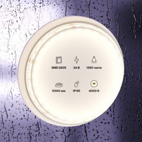 Лента светодиодная Maytoni Led strip 10152 в Когалыме - kogalym.ok-mebel.com | фото 2