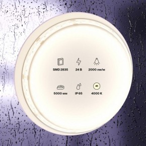 Лента светодиодная Maytoni Led strip 10158 в Когалыме - kogalym.ok-mebel.com | фото 2