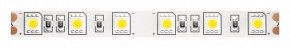 Лента светодиодная Maytoni Led strip 10170 в Когалыме - kogalym.ok-mebel.com | фото