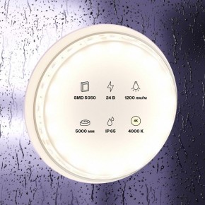 Лента светодиодная Maytoni Led strip 10172 в Когалыме - kogalym.ok-mebel.com | фото 2