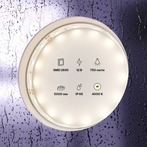 Лента светодиодная Maytoni Led strip 20005 в Когалыме - kogalym.ok-mebel.com | фото 2