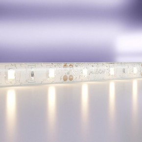 Лента светодиодная Maytoni Led strip 20005 в Когалыме - kogalym.ok-mebel.com | фото