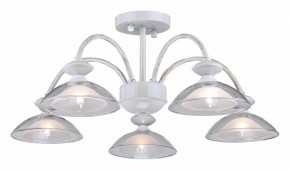 Люстра на штанге Arti Lampadari Noventa Noventa E 1.1.5 W в Когалыме - kogalym.ok-mebel.com | фото