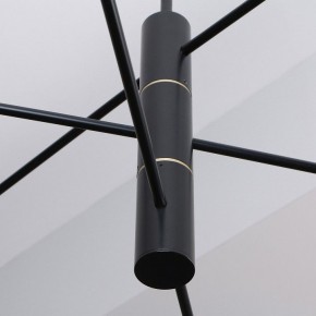 Люстра на штанге Favourite Imma 4375-6P в Когалыме - kogalym.ok-mebel.com | фото 2