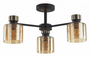 Люстра на штанге Lumion ARLIN 5643/3C в Когалыме - kogalym.ok-mebel.com | фото