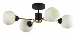 Люстра на штанге Lumion KODI 5646/4C в Когалыме - kogalym.ok-mebel.com | фото