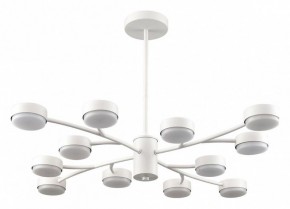 Люстра на штанге Lumion TORINA 8265/12 в Когалыме - kogalym.ok-mebel.com | фото
