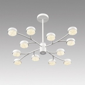 Люстра на штанге Lumion TORINA 8265/12 в Когалыме - kogalym.ok-mebel.com | фото 5