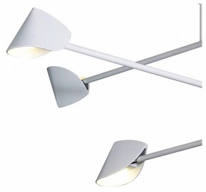 Люстра на штанге Mantra Capuccina 7570 в Когалыме - kogalym.ok-mebel.com | фото 4