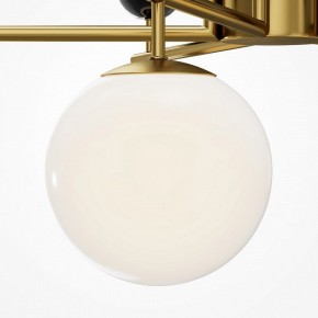 Люстра на штанге Maytoni Museo MOD436PL-07BS в Когалыме - kogalym.ok-mebel.com | фото 4
